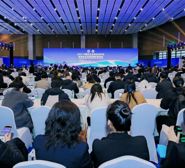 桥——“首届社区发展（国际）博览会”举办的深度思考