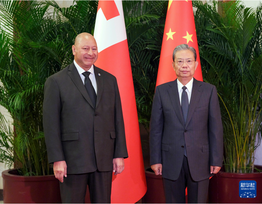 赵乐际会见汤加国王图普六世