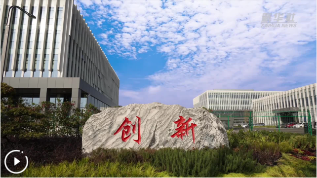 四中全会精神在基层丨四川：聚势成链构筑新型显示产业协同发展新格局