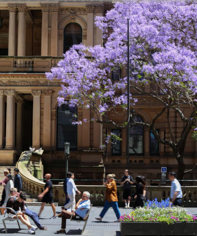 全球首例 澳大利亚16岁以下人群“社媒禁令”即将生效