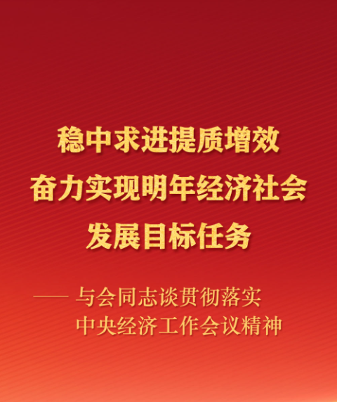 与会同志谈贯彻落实中央经济工作会议精神