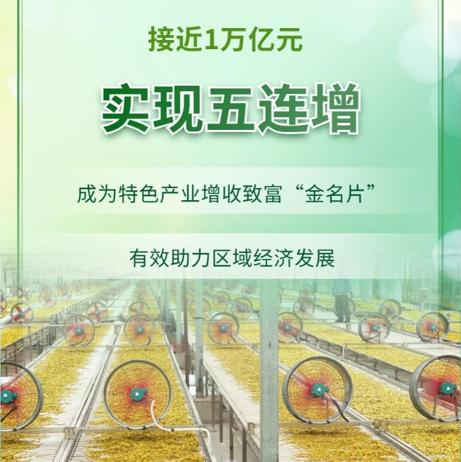 五连增！我国地理标志产品直接年产值接近1万亿元