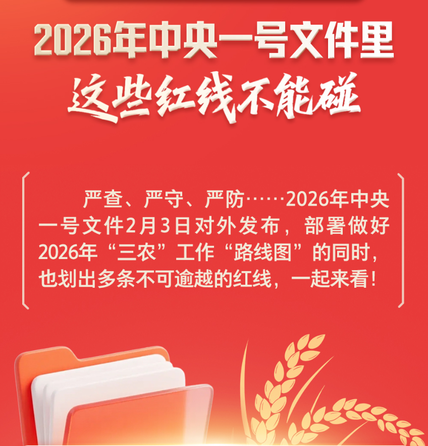 “严”字当头！2026年中央一号文件里这些红线不能碰