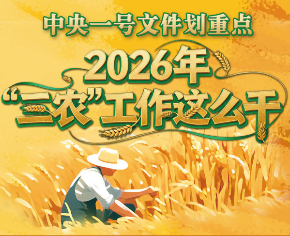 中央一号文件划重点，2026年“三农”工作这么干