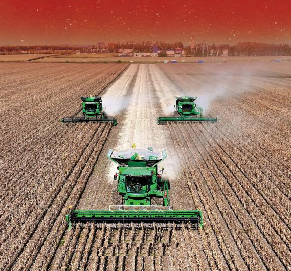 中央一号文件，划重点！