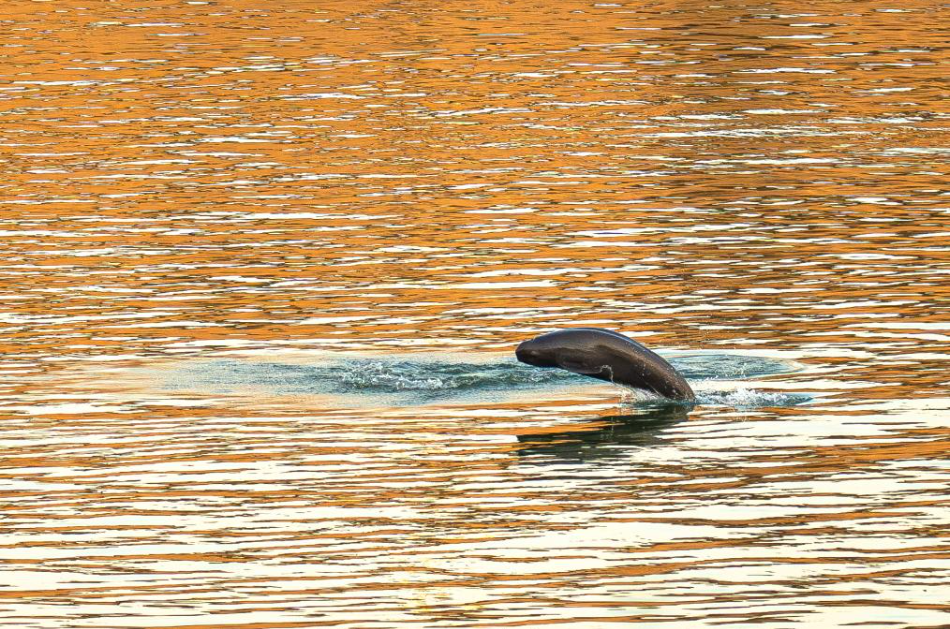 新春走基层丨立规之地听回响