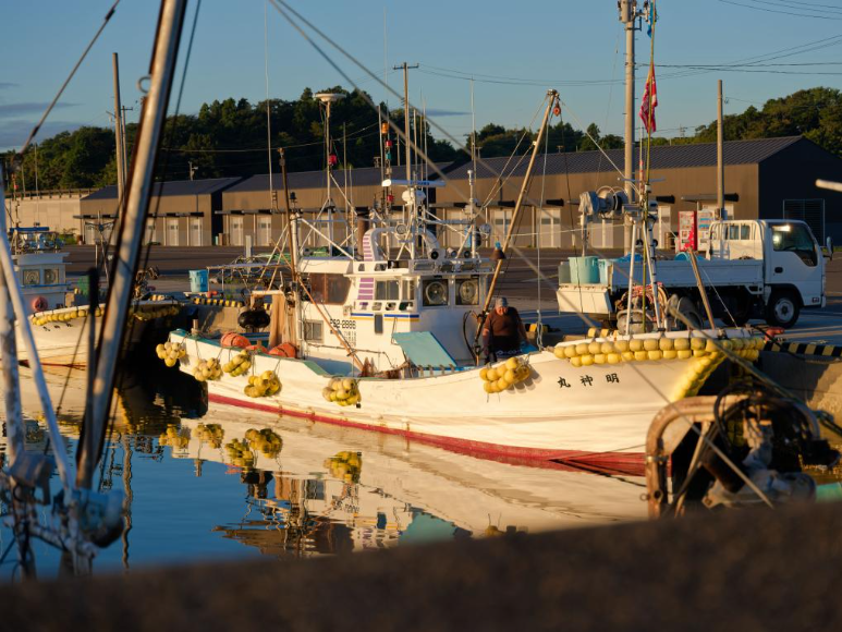 中东局势波及日本渔业　渔民忧处于“生死关头”
