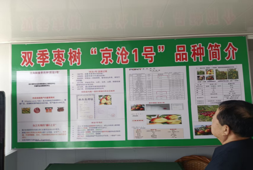 疑点重重！大连小李屯君子兰基地涉嫌借农套利，多重硬伤亟待权威核查——基于公开线索、政策法规及当事人反映的深度调查！