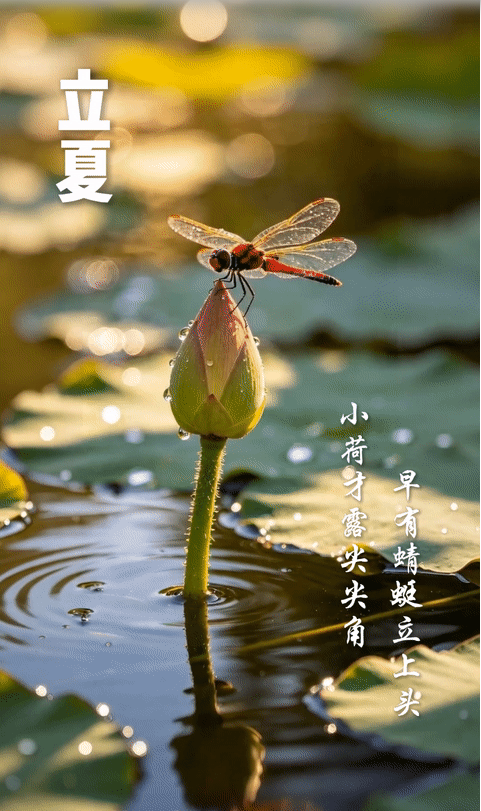 AIGC海报：二十四节气里的古诗词·立夏