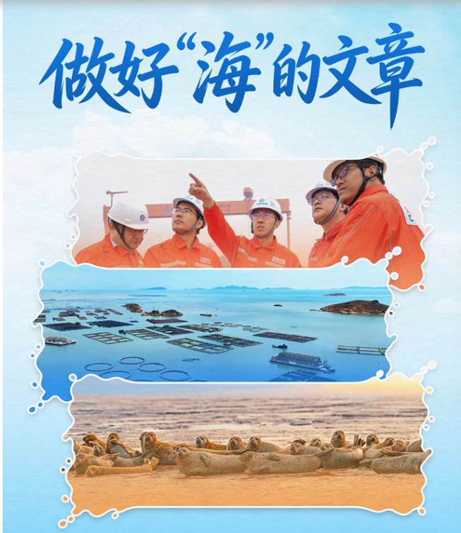习近平总书记关切事丨做好“海”的文章