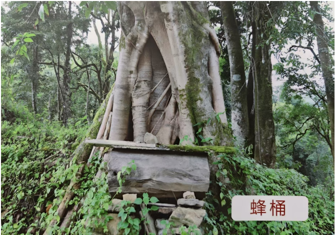 QQ_1758512026781