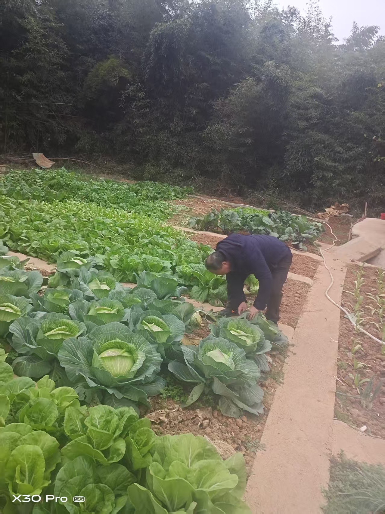 把根留住，耕地守护里的烟火幸福