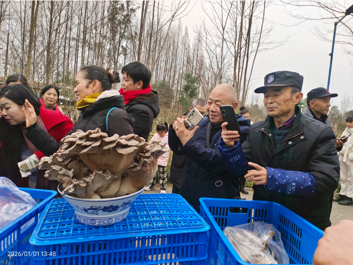 QQ_1767590079899 QQ_1767590079899