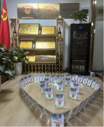 【井冈星火映湾区 庐陵才俊共迎新】第七届大湾区吉安青年联谊暨2026迎新年会圆满落幕