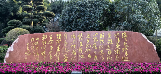 泸州美酒浸泡出了《三国演义》