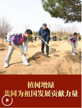 和总书记面对面｜植树增绿 共同为祖国发展贡献力量