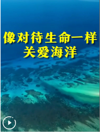 像对待生命一样关爱海洋