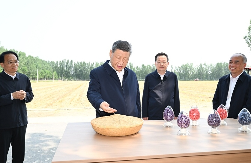 习近平在山东德州考察：扎实推进农业农村现代化 绘就和美乡村幸福图景