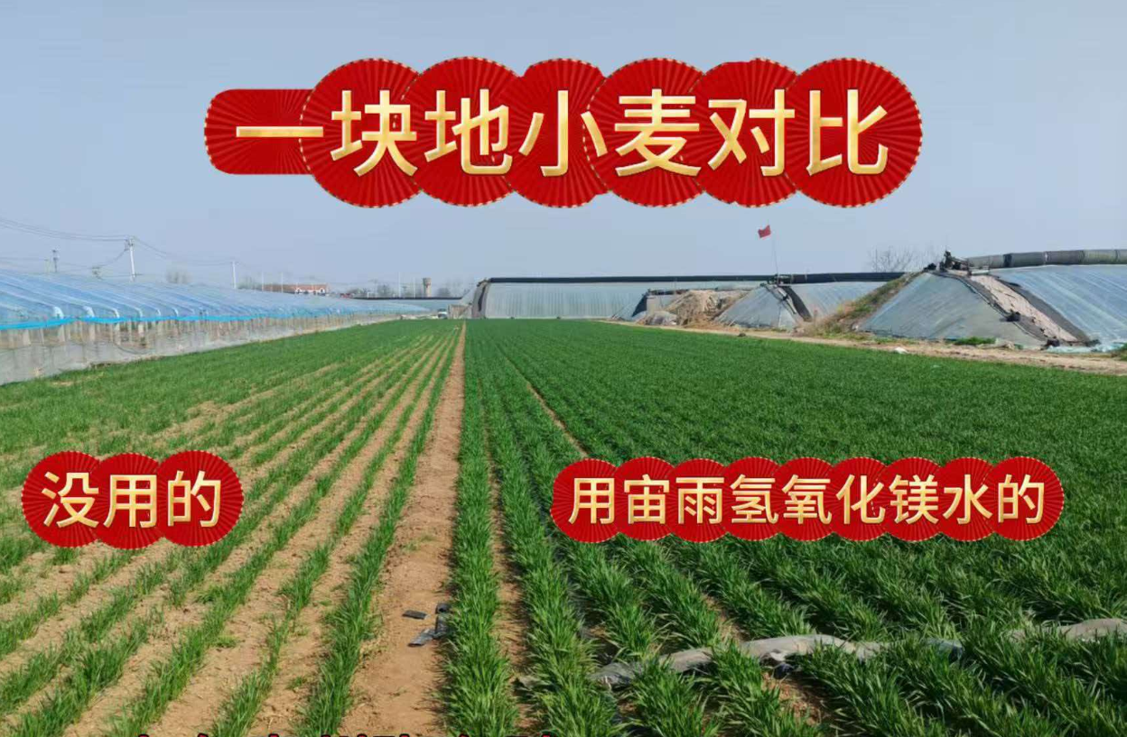 QQ_1792665840785