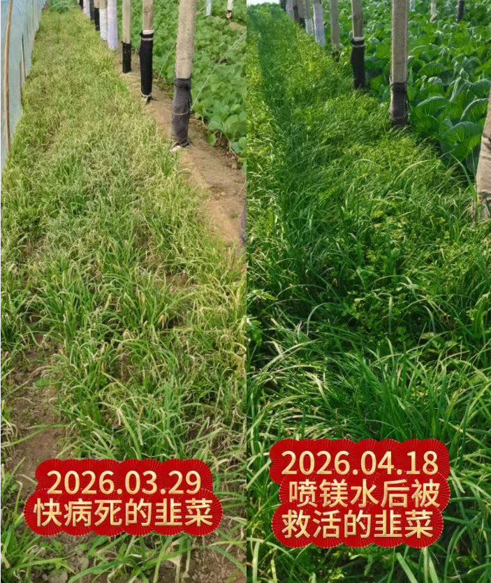 QQ_1792665939771