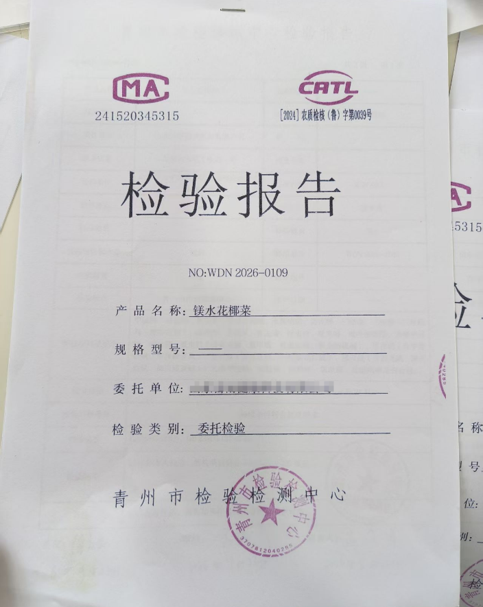 QQ_1792666196309