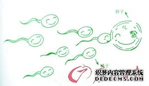 图来自教材