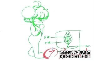 女孩(图来自教材)