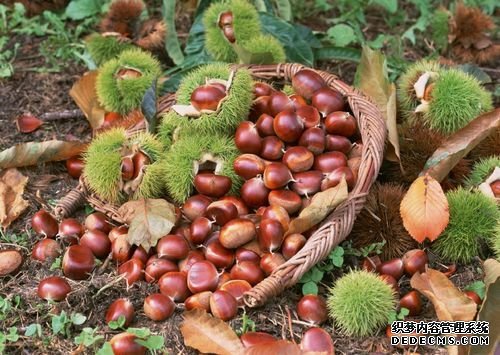根据脸色挑选：秋季养生食疗秘笈