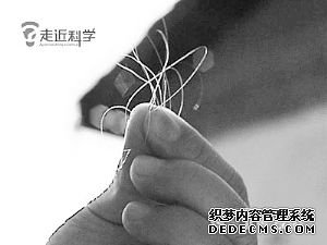 古人类专家批评科学考察变成娱乐八卦  认为神农架没有野人(图)