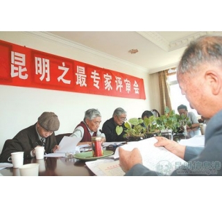 首批80项“昆明的中国之最”名单出炉(图)