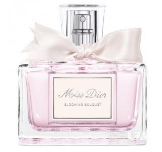 Dior�ϰ�С������������� ����߹�������
