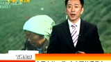 中国人的一天：古寺下的采茶女