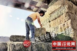 做农活