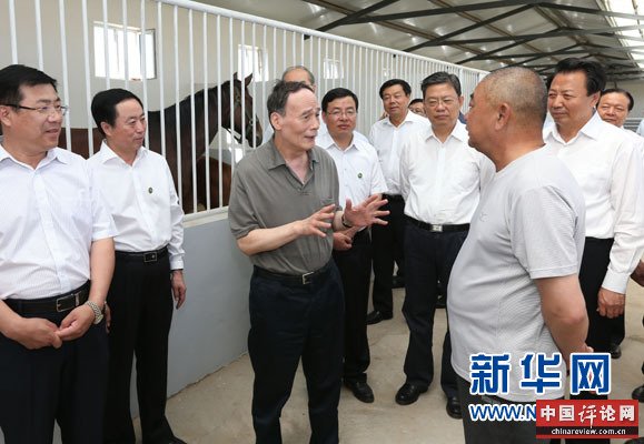 这是7月3日，王岐山在锡林浩特市义合良种马繁育基地考察。新华社记者 庞兴雷 摄