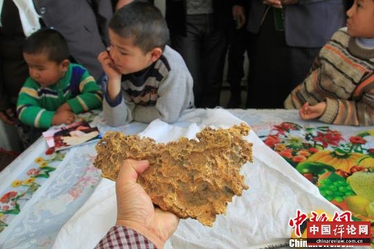 新疆牧民捡到天然金追踪：多部门已前往调查（图）