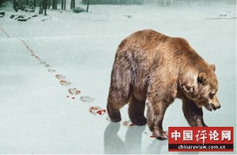 中文网
