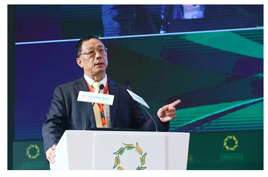 为什么城镇化“冷”下来了？