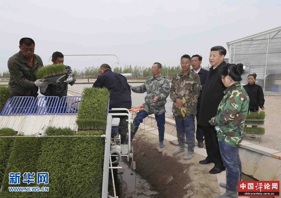  5月23日至25日，中共中央总书记、国家主席、中央军委主席习近平在黑龙江考察调研。这是5月24日上午，习近平在抚远市玖成水稻种植合作社察看机械插秧。 新华社记者 兰红光 摄