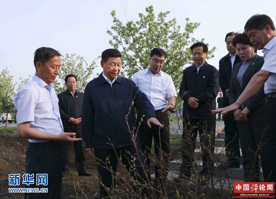  5月23日至25日，中共中央总书记、国家主席、中央军委主席习近平在黑龙江考察调研。这是5月23日下午，习近平在伊春友好林业局万亩蓝莓产业园察看蓝莓种植情况。 新华社记者 兰红光 摄