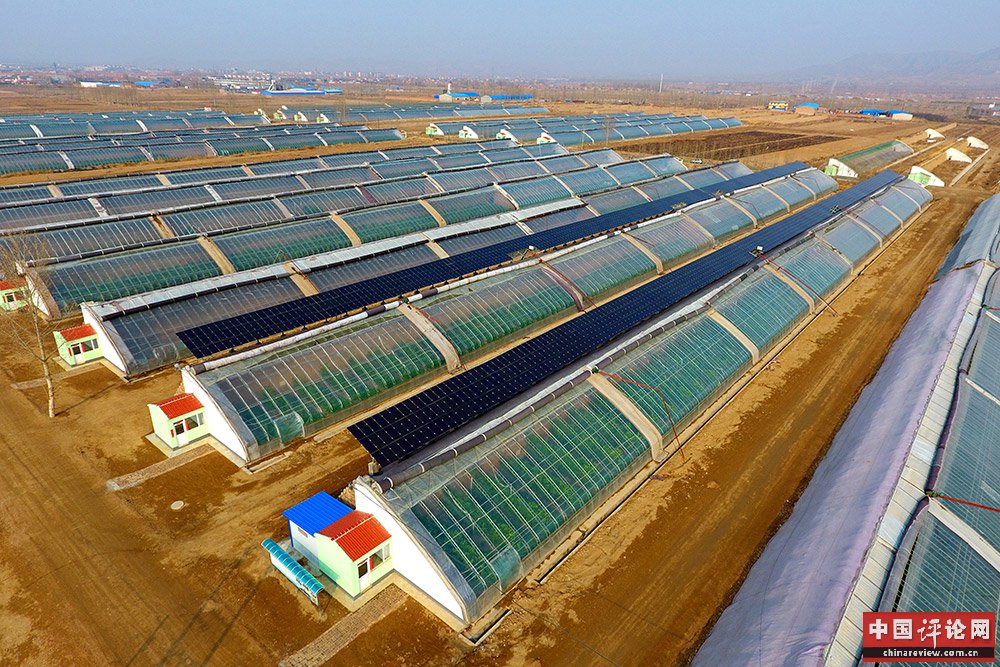 这是3月21日拍摄的山西省天镇县同煤光伏扶贫电站一角。