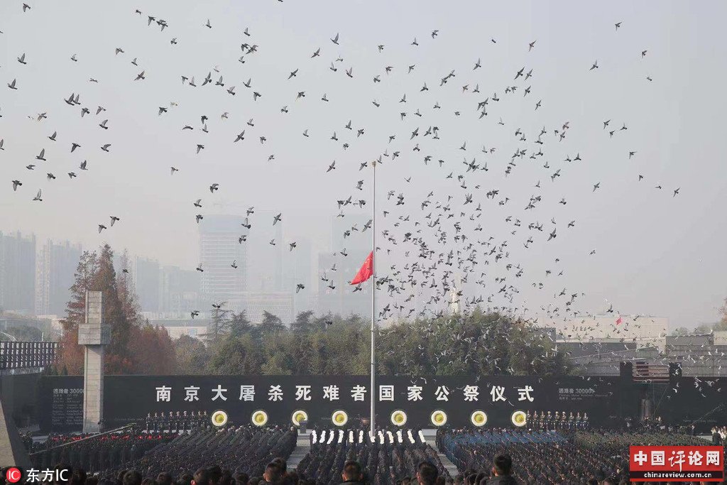 12月13日,公祭仪式现场降半旗放飞和平鸽。