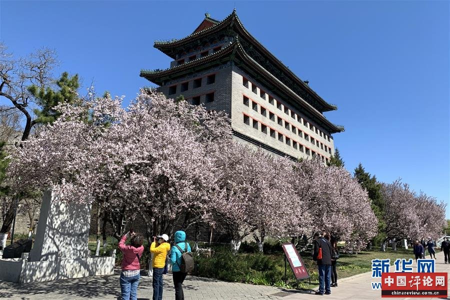 （新华全媒头条·图文互动）（5）永远的梦想 永恒的追求——写在北京世园会开幕一周年之际