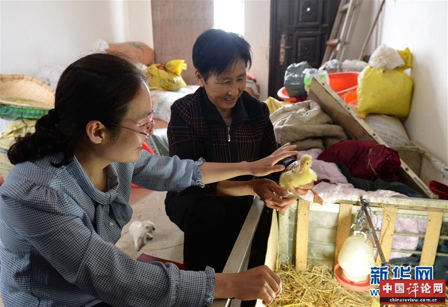 （代表委员履职）（2）全国人大代表王萌萌：产业兴旺让乡村振兴更有底气