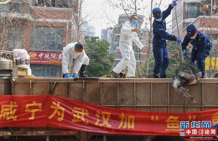 （新华全媒头条·图文互动）（12）从人民中汲取磅礴力量——习近平总书记同出席2020年全国两会人大代表、政协委员共商国是纪实