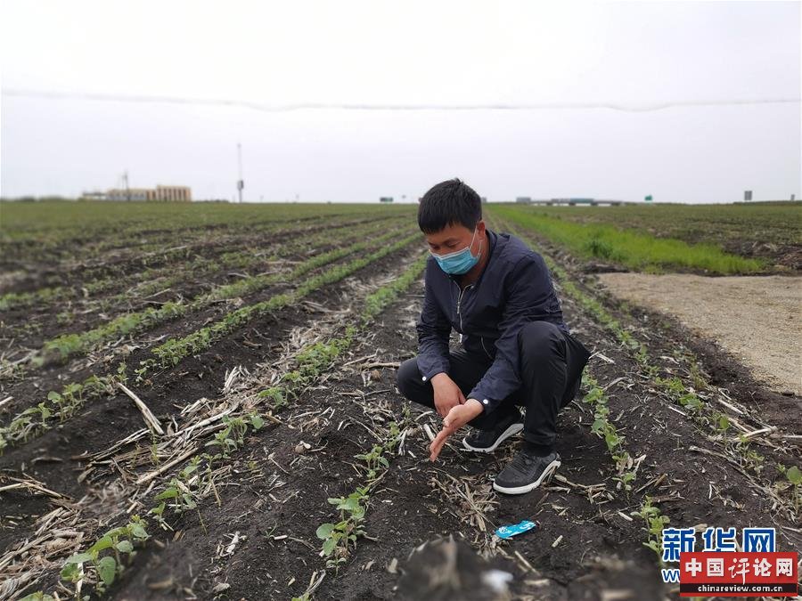 （在习近平新时代中国特色社会主义思想指引下——新时代新作为新篇章·习近平总书记关切事·图文互动）（4）让百姓吃得饱还要吃得好——夯实粮食安全基础端牢中国饭碗