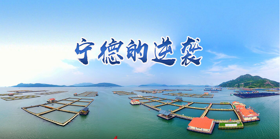 走向我们的小康生活｜弱鸟先飞今翱翔
