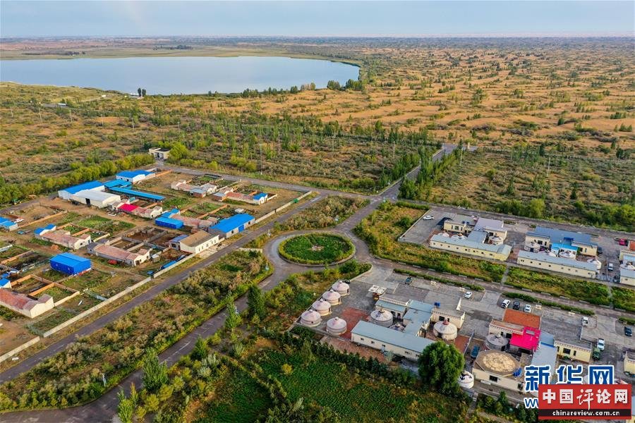 （在习近平新时代中国特色社会主义思想指引下——新时代新作为新篇章·习近平总书记关切事·图文互动）（12）绿意，在黄沙中铺展——我国防沙治沙纪实