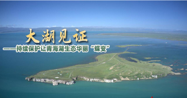 大湖见证――持续保护让青海湖生态华丽“蝶变”