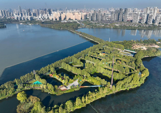 我国已设立901处国家湿地公园 总面积达360万公顷