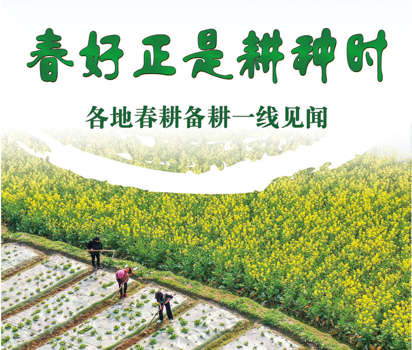 春好正是耕种时——各地春耕备耕一线见闻